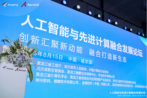 智算神州，神州领航！艾弗森ballbet数码亮相黑龙江人工智能与先进计算融合发展论坛